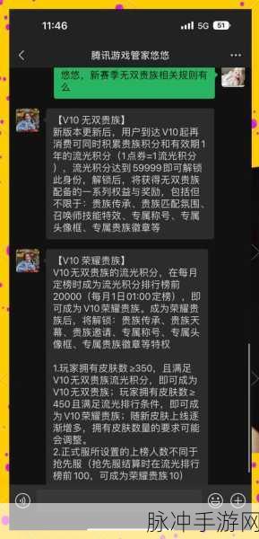 王者荣耀深度攻略，如何巧妙隐藏自己的贵族等级