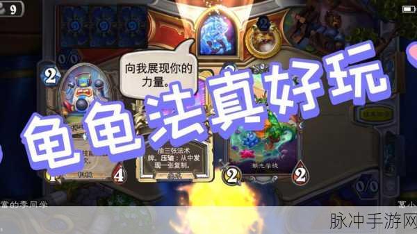 炉石传说重大更新深度解析,沙德沃克与吸血蚊效果调整,天梯格局或将重塑