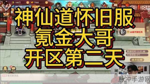 深度解析iOS手游公益服中的神仙道与无限元宝奥秘