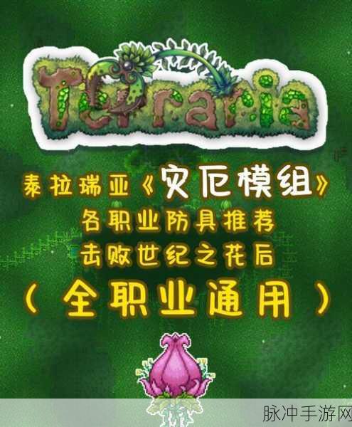 泰拉瑞亚探险指南,护卫徽章的神秘之旅深度解析