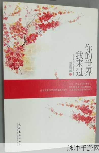我的世界你来过，手游情深慰今生攻略详解