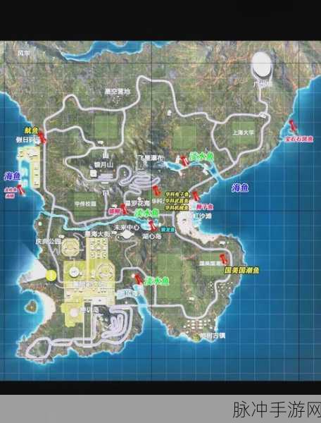 使命召唤手游深度攻略,绿洲地图点位全解析