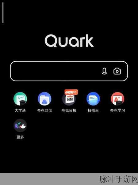 夸克网盘在手游数据管理中的应用，密码保护详解