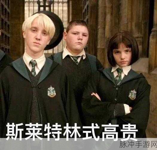 哈利波特,阿瓦达索命咒觉醒全面指南