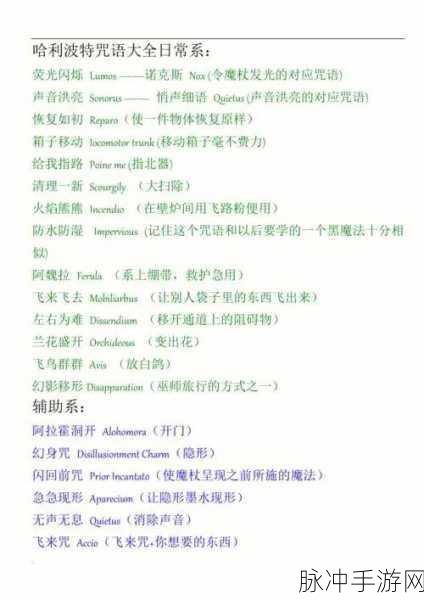 哈利波特,阿瓦达索命咒觉醒全面指南