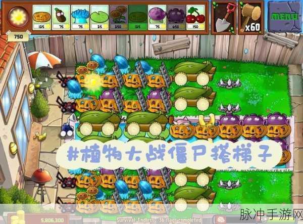 花花僵尸无尽下载安装,最新版植物大战僵尸小游戏全攻略