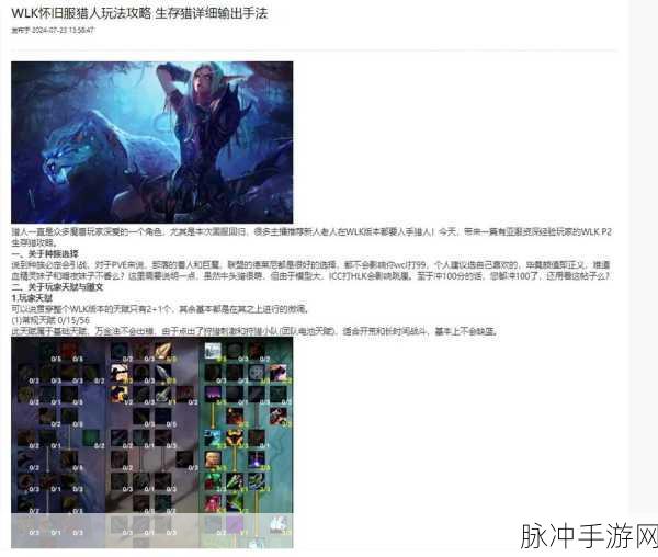 魔兽世界WLK战斗贼BD详解，战斗贼的极致玩法攻略