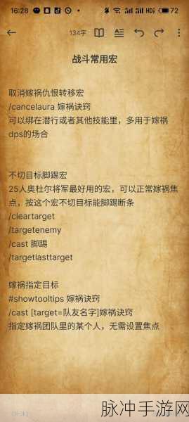 魔兽世界WLK战斗贼BD详解，战斗贼的极致玩法攻略