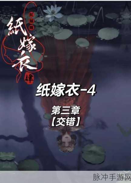 纸嫁衣3鸳鸯债第三章详尽通关攻略,解锁谜题,探寻真相