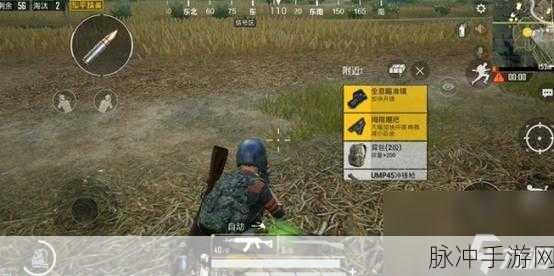 手游市场风云变,从刺激战场到和平精英,玩家大面积退游现象深度剖析