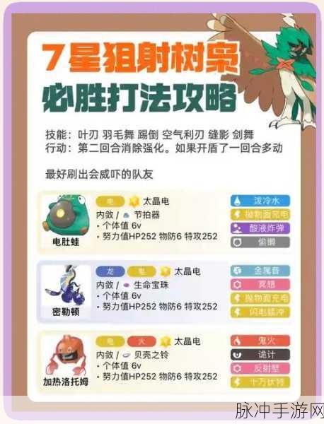 宝可梦大集结,树枭与王牌角色深度对比解析及实战应用