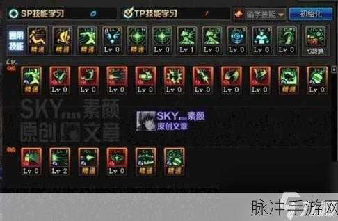 DNF弹药专家深度攻略，男女弹药谁更强？实战技巧大揭秘