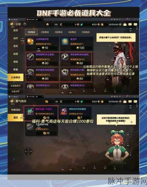 DNF手游深度攻略，揭秘光之城主赛格哈特的领主神器