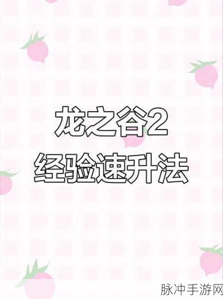 龙之谷2深度攻略，龙谷印记获取及徽章升级全解析