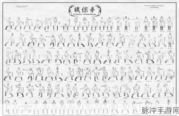 深入金庸群侠传5，拳系功法与内功强弱奥秘探究