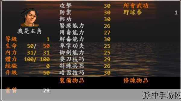 深入金庸群侠传5,拳系功法与内功强弱奥秘探究