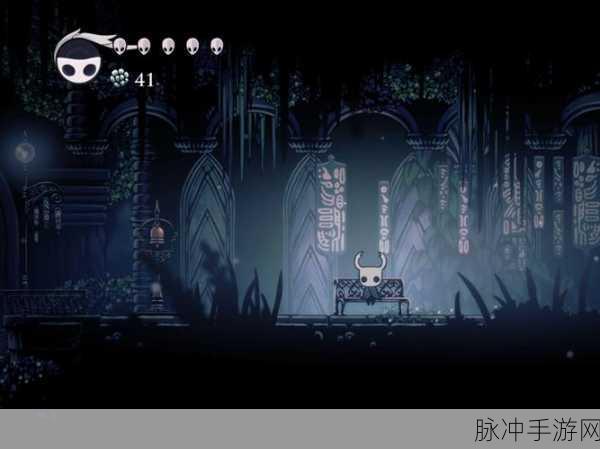 深入探索空洞骑士巴西服，中文版详解与攻略指南