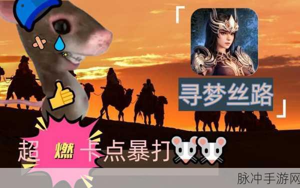 剑灵爆肝老鼠，探索游戏中的冒险与荣耀之旅
