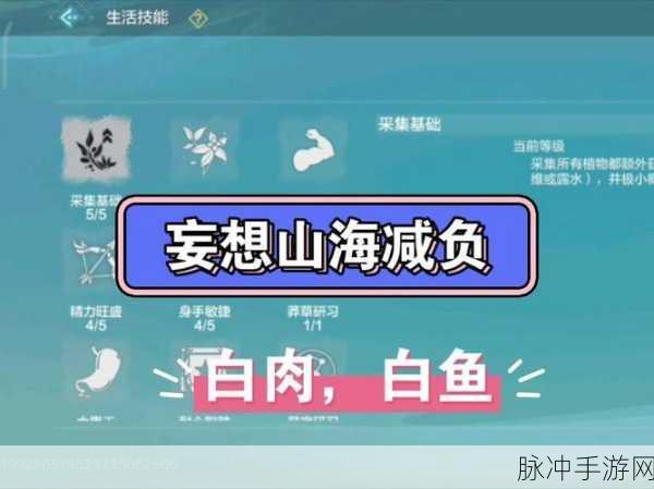 劲爆！妄想山海蒜蓉白肉独家获取秘籍大公开，限时攻略全解析！