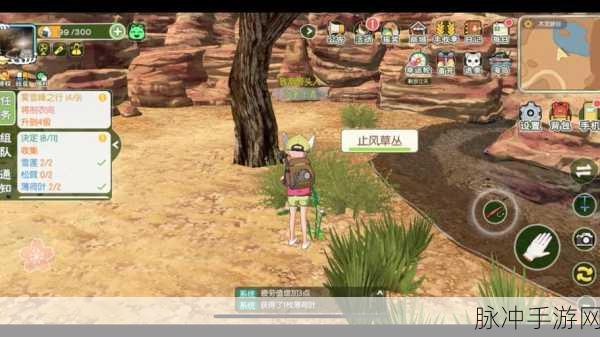 小森生活止风草获取全攻略，解锁稀有资源的秘密