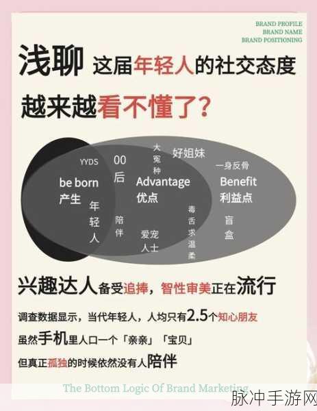 绝对演绎爆料详解，玩转社交玩法，揭秘爆料攻略与互动策略深度探究