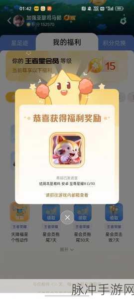 王者荣耀星会员系统深度解析与全面攻略汇总