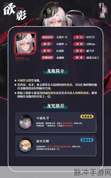 归龙潮欲影词条搭配全攻略,解锁战斗新境界秘籍!