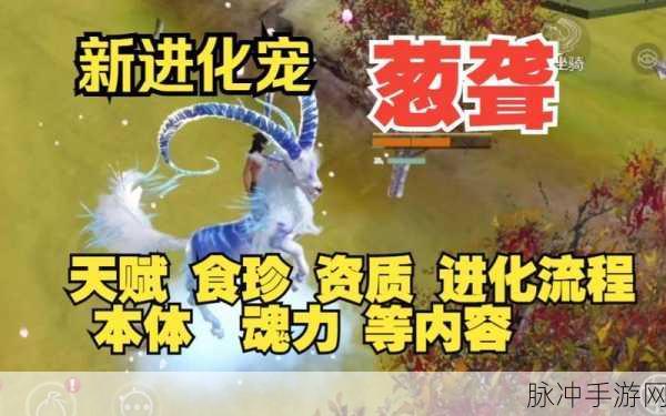 妄想山海葱聋进化全攻略,解锁珍兽潜能的奥秘