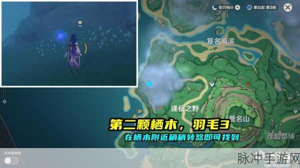 原神栖木知比山羽毛全攻略，羽毛位置详解与寻找指南