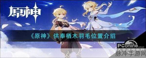 原神栖木知比山羽毛全攻略，羽毛位置详解与寻找指南