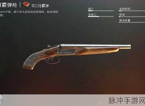 和平精英蝎式手枪深度解析,性能数据全面一览