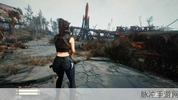 辐射4深度攻略,流血伤害与辐射伤害对比及新影响分析