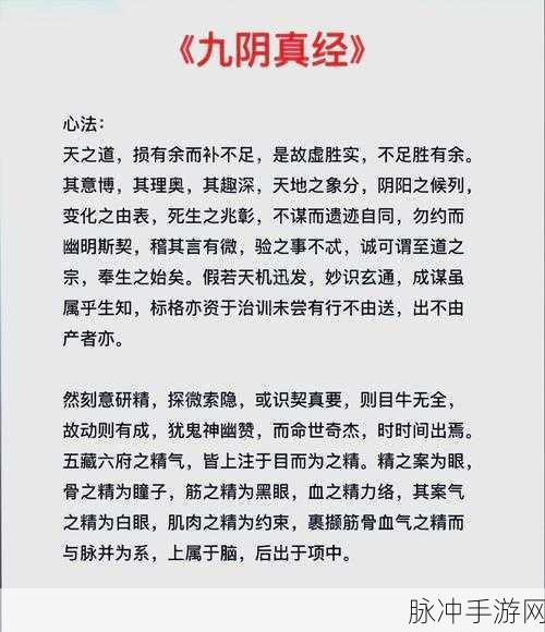 手游攻略深度解析，掌握九阳神功与九阴真经秘籍的制胜之道
