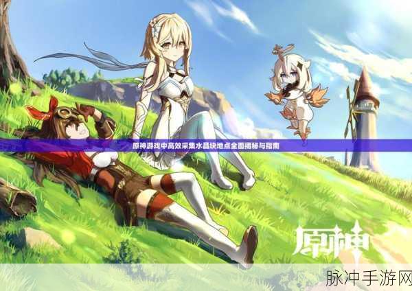 原神探索指南,揭秘借景之馆的进入方法