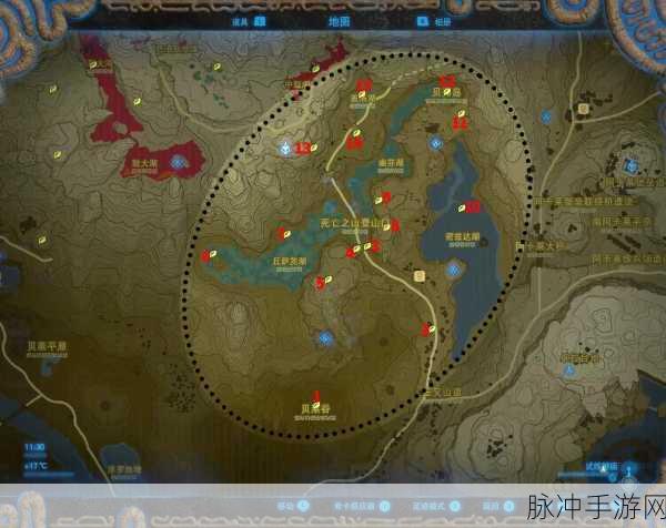 诺亚之心探险指南，揭秘噢尔梅雨林的神秘位置