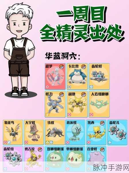 口袋妖怪复刻，晴天队成员的荣耀征程与不朽传奇