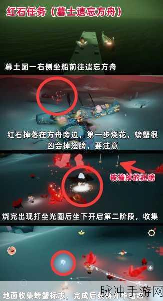 光遇手游攻略，全面解析遗忘方舟任务所有灵的位置