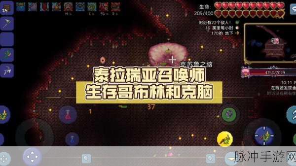 泰拉瑞亚哥布林入侵条件全面解析与攻略汇总