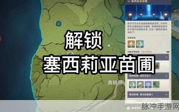 原神梦中的苗圃任务全攻略详解