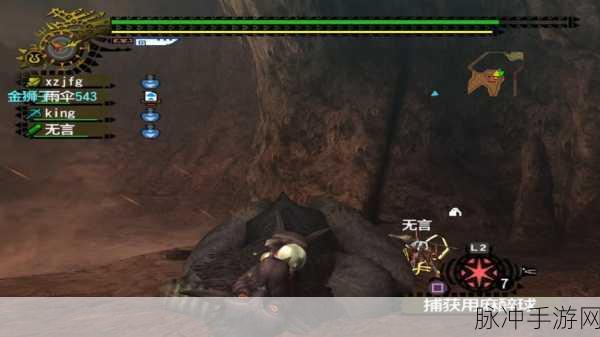 怪物猎人4双刀100级狮子讨伐深度攻略
