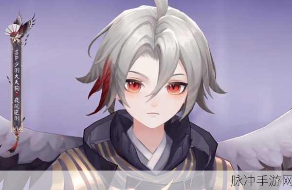 阴阳师六道之门大天狗玩法及通关全攻略,助你轻松挑战成功