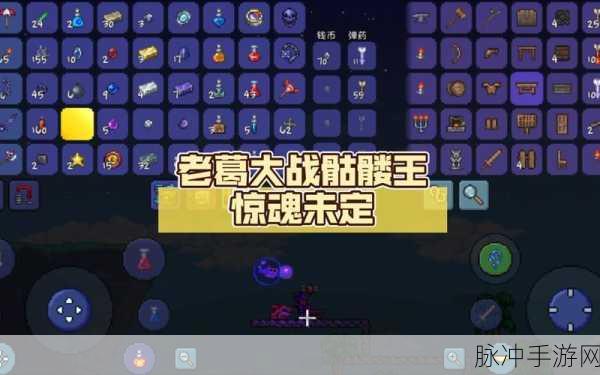 泰拉瑞亚手游小骷髅头获取全攻略