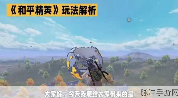 和平精英手游攻略,揭秘淘汰敌人数量与战场主宰的奥秘