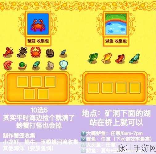 星露谷物语,揭秘女巫家中的三个献祭及其内容详解