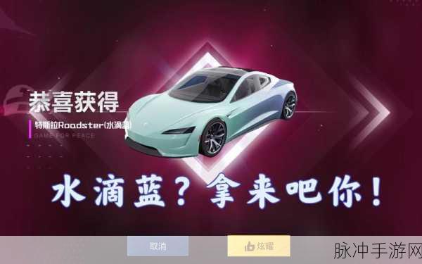 和平精英特斯拉载具皮肤值得入手吗?性价比深度剖析