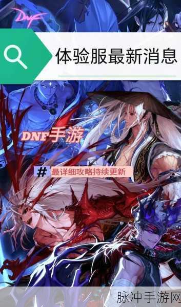 DNF手游攻略,九龙护魂刀与明光追影刀深度对比