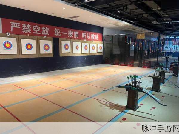 击穿那靶子游戏下载，精准提升你的射击技巧，尽享休闲射击乐趣
