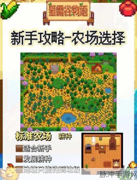 星露谷物语无限金币中文版，打造梦幻农场的全方位攻略