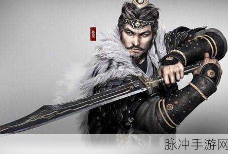 刀锋无双羽扇系武器技能深度解析与攻略