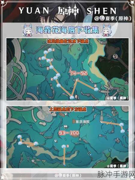 原神海露花高效采集路线全攻略，轻松掌握采集技巧